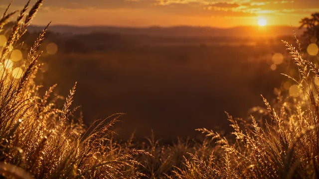 Maasai Mara Grass Glow, a landscape worship background
