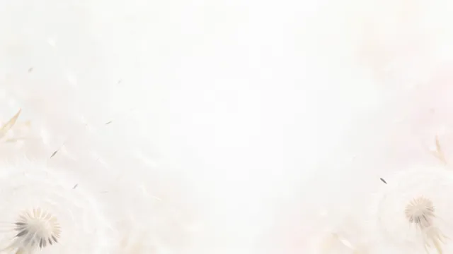 Dandelion Seeds Light, a light & airy worship background