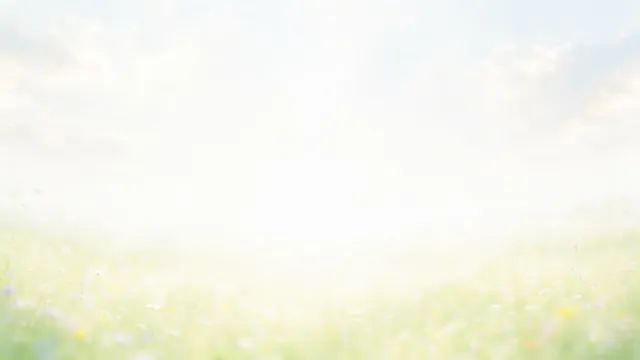 Daylight Meadow Soft, a light & airy worship background