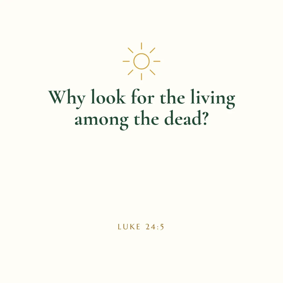 A cream Easter verse post with a small gold sun and the words Why look for the living among the dead, Luke 24:5.